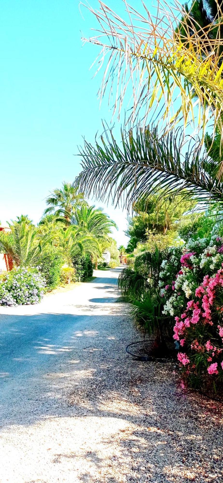 Happymobilhome Argeles-Sur-Mer -Plage A 500M- Camping 4 Etoiles Del Mar Dış mekan fotoğraf